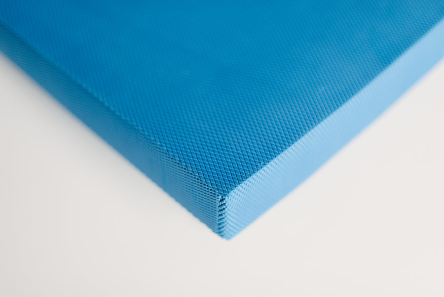 Foam Cushion â The ScoliClinic Shop