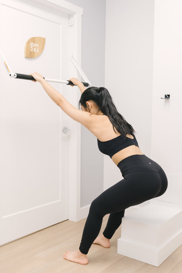 Pull Up Bar: Fixed